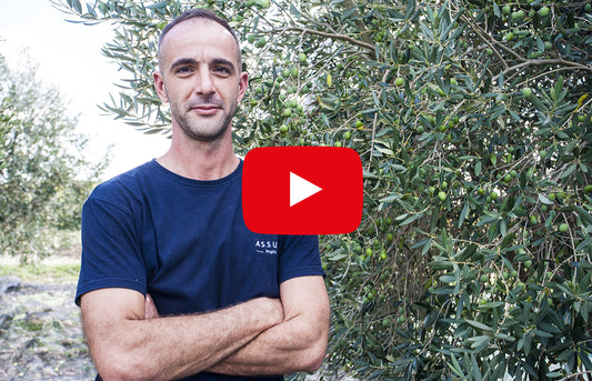 Il percorso di produzione dell’olio extra vergine di oliva