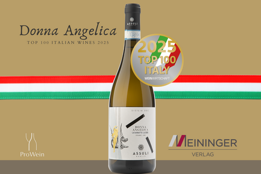 Top 100 vini italiani secondo Meininger