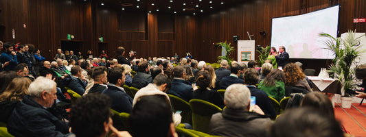 AIS - Guida ai Vini di Sicilia 2024